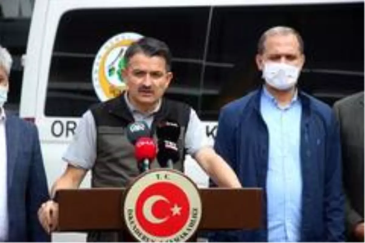 Bakan Pakdemirli: 'Hatay yangını kontrol altına alındı'