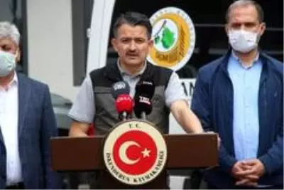 Bakan Pakdemirli: 'Hatay yangını kontrol altına alındı' Bakan Pakdemirli: 'Hatay yangını kontrol altına alındı'