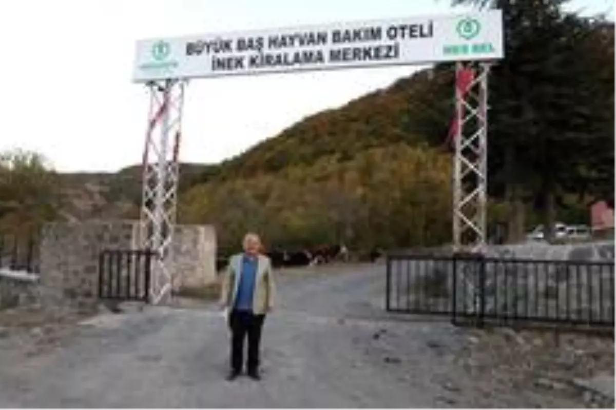 Besicilerin tercihi Hayvan Bakım Oteli