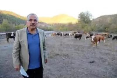 Besicilerin tercihi Hayvan Bakım Oteli Besicilerin tercihi Hayvan Bakım Oteli