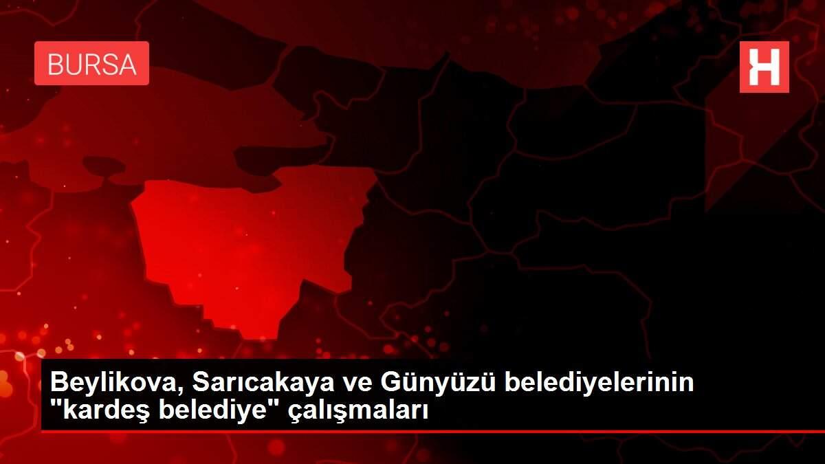 Beylikova, Sarıcakaya ve Günyüzü belediyelerinin Beylikova, Sarıcakaya ve Günyüzü belediyelerinin