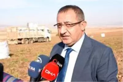 Patates sektöründen bu yıl 350 milyon TL gelir bekleniyor Patates sektöründen bu yıl 350 milyon TL gelir bekleniyor