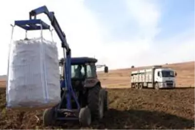 Patates sektöründen bu yıl 350 milyon TL gelir bekleniyor Patates sektöründen bu yıl 350 milyon TL gelir bekleniyor