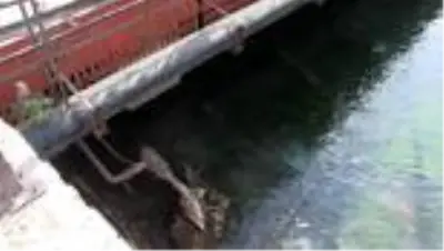 Boğulma tehlikesi geçiren çocuğu çevredekiler kurtardı Boğulma tehlikesi geçiren çocuğu çevredekiler kurtardı
