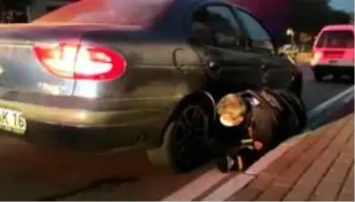 Bursa'da aracın motoruna sıkışan kedi 1 saat sonra kurtarıldı Bursa'da aracın motoruna sıkışan kedi 1 saat sonra kurtarıldı