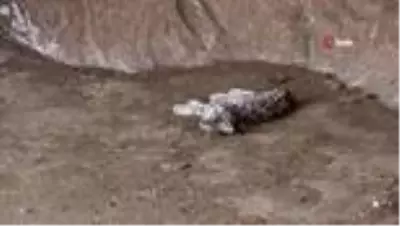 Son dakika haberi... Canlısını göremeden ölüsüyle karşılaştılar Son dakika haberi... Canlısını göremeden ölüsüyle karşılaştılar