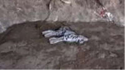 Son dakika haberi... Canlısını göremeden ölüsüyle karşılaştılar Son dakika haberi... Canlısını göremeden ölüsüyle karşılaştılar