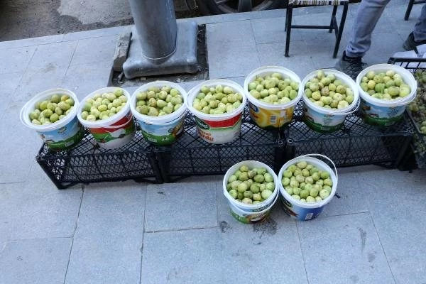 'Çukurca inciri' satarak aile bütçesine katkı sağlıyorlar