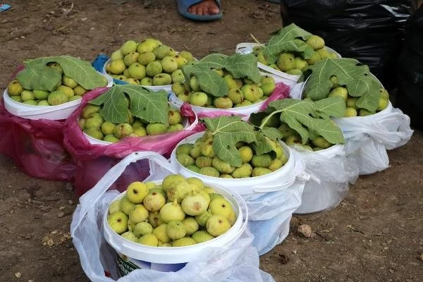 'Çukurca inciri' satarak aile bütçesine katkı sağlıyorlar