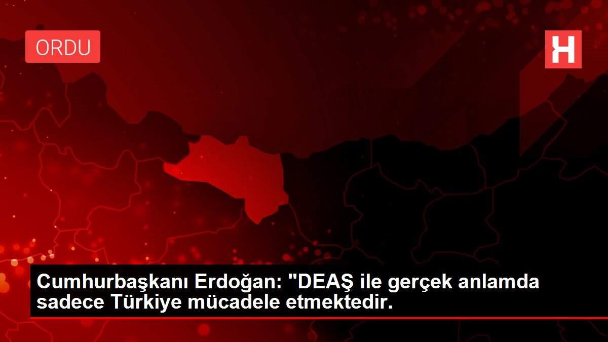 Cumhurbaşkanı Erdoğan: 'DEAŞ ile gerçek anlamda sadece Türkiye mücadele etmektedir.