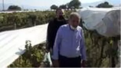 Deprem uzmanları, Sarıgöl'de oluşan geniş yarıkları inceledi Deprem uzmanları, Sarıgöl'de oluşan geniş yarıkları inceledi