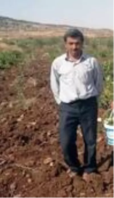 Devrilen traktörün altında kalan sürücü hayatını kaybetti Devrilen traktörün altında kalan sürücü hayatını kaybetti