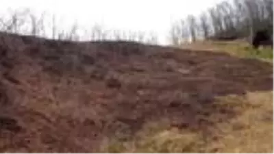 Doğu Karadeniz'de kuraklık arttı, yangın uyarısı geldi Doğu Karadeniz'de kuraklık arttı, yangın uyarısı geldi