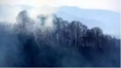 Doğu Karadeniz'de kuraklık arttı, yangın uyarısı geldi Doğu Karadeniz'de kuraklık arttı, yangın uyarısı geldi