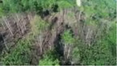 Doğu Karadeniz'de kuraklık arttı, yangın uyarısı geldi Doğu Karadeniz'de kuraklık arttı, yangın uyarısı geldi