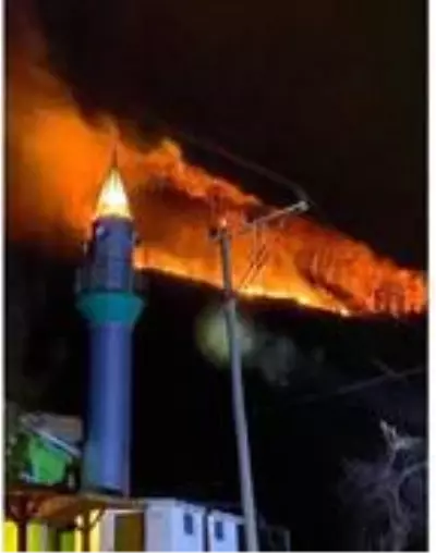 Doğu Karadeniz'de kuraklık arttı, yangın uyarısı geldi Doğu Karadeniz'de kuraklık arttı, yangın uyarısı geldi