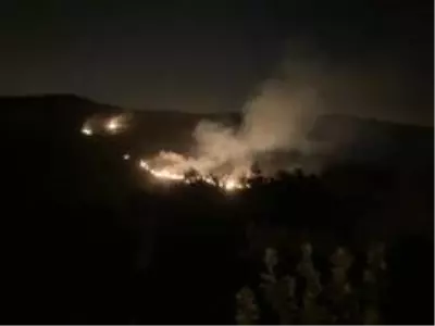 Hatay'da yangın kontrol altına alındı Hatay'da yangın kontrol altına alındı