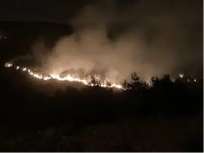 Hatay'da yangın kontrol altına alındı Hatay'da yangın kontrol altına alındı