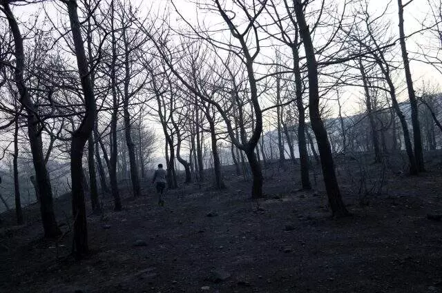 Hatay'daki yangının bıraktığı hasar sabahın ilk ışıklarında gün yüzüne çıktı