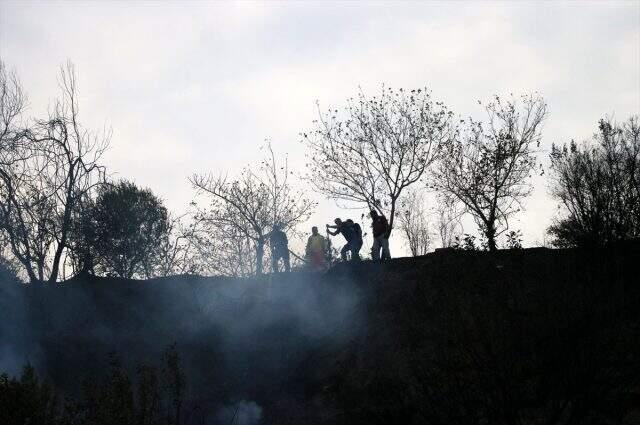 Hatay'daki yangının bıraktığı hasar sabahın ilk ışıklarında gün yüzüne çıktı Hatay'daki yangının bıraktığı hasar sabahın ilk ışıklarında gün yüzüne çıktı