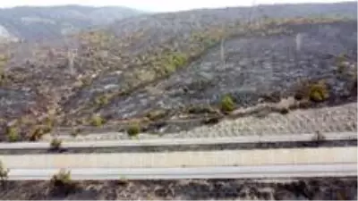 Alevlerin arasında kalan Azganlık Şehitliği ise yangında etkilenmedi Alevlerin arasında kalan Azganlık Şehitliği ise yangında etkilenmedi