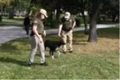 Son dakika haberleri... 'HAYDİ' uygulaması hayata geçti, hayvan koruma polisleri göreve başladı Son dakika haberleri... 'HAYDİ' uygulaması hayata geçti, hayvan koruma polisleri göreve başladı
