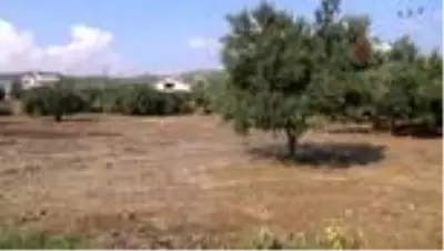 Hortumla gelen yağmur sonrası şehir balçığa gömüldü Hortumla gelen yağmur sonrası şehir balçığa gömüldü