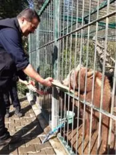 Karaağaç'tan yaban hayatı sahasında inceleme Karaağaç'tan yaban hayatı sahasında inceleme