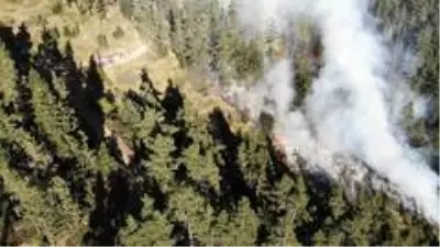 Kastamonu'da 5 günde söndürülen orman yangınları tekrar başladı Kastamonu'da 5 günde söndürülen orman yangınları tekrar başladı