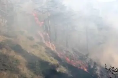 Kastamonu'da 5 günde söndürülen orman yangınları tekrar başladı Kastamonu'da 5 günde söndürülen orman yangınları tekrar başladı