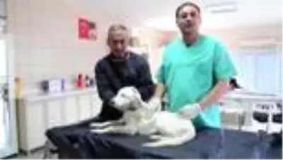 Son dakika haberi: Kırşehir'de memurundan itfaiye erine belediye çalışanları cumhuriyet klibinde yer aldı Son dakika haberi: Kırşehir'de memurundan itfaiye erine belediye çalışanları cumhuriyet klibinde yer aldı