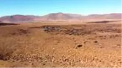 Son dakika gündem: Kuş cenneti Putka Gölü, doğal koruma alanı oldu Son dakika gündem: Kuş cenneti Putka Gölü, doğal koruma alanı oldu