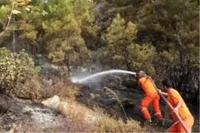 Mersin'deki orman yangınında soğutma çalışmaları sürüyor Mersin'deki orman yangınında soğutma çalışmaları sürüyor