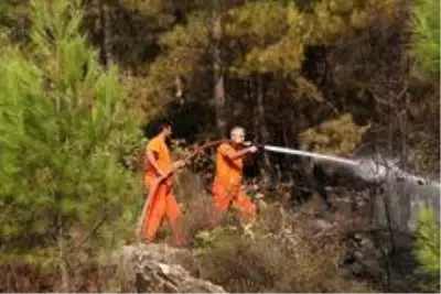 Mersin'deki orman yangınında soğutma çalışmaları sürüyor Mersin'deki orman yangınında soğutma çalışmaları sürüyor