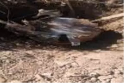 Son dakika haberleri! MSB: Irak'ın kuzeyinde silah ve mühimmat ele geçirildi Son dakika haberleri! MSB: Irak'ın kuzeyinde silah ve mühimmat ele geçirildi