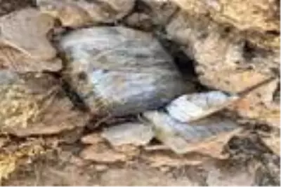 Son dakika haberleri! MSB: Irak'ın kuzeyinde silah ve mühimmat ele geçirildi Son dakika haberleri! MSB: Irak'ın kuzeyinde silah ve mühimmat ele geçirildi
