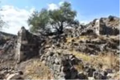 Muhtarı ve 13 seçmeni bulunan köyde kimse yaşamıyor Muhtarı ve 13 seçmeni bulunan köyde kimse yaşamıyor