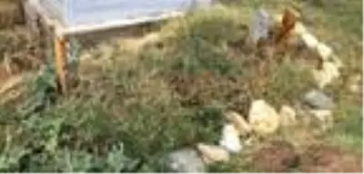 Bursa'da oğlunu boğduğu iddiasıyla tutuklanan futbolcu ilk duruşmada savunma yapmadı Bursa'da oğlunu boğduğu iddiasıyla tutuklanan futbolcu ilk duruşmada savunma yapmadı