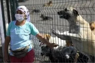 Özdilek'in mama desteği ile sevimli patiler doyuyor Özdilek'in mama desteği ile sevimli patiler doyuyor