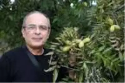 Son dakika haberi! Rus iş insanından 300 dönüme 'pikan' yatırımı Son dakika haberi! Rus iş insanından 300 dönüme 'pikan' yatırımı