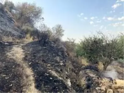 Son dakika... Samandağ'daki yangın kontrol altına alındı Son dakika... Samandağ'daki yangın kontrol altına alındı