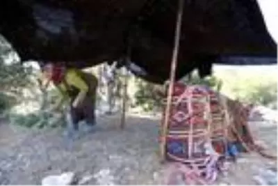 Yörüklerin develerle kış yurdu göçü başladı! Çoluk çocuk 25 gündür yoldalar Yörüklerin develerle kış yurdu göçü başladı! Çoluk çocuk 25 gündür yoldalar