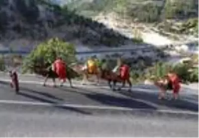 Yörüklerin develerle kış yurdu göçü başladı! Çoluk çocuk 25 gündür yoldalar Yörüklerin develerle kış yurdu göçü başladı! Çoluk çocuk 25 gündür yoldalar