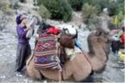 Yörüklerin develerle kış yurdu göçü başladı! Çoluk çocuk 25 gündür yoldalar Yörüklerin develerle kış yurdu göçü başladı! Çoluk çocuk 25 gündür yoldalar