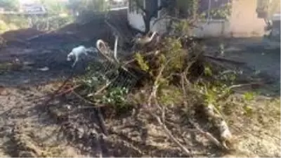 Hortumla gelen yağmur sonrası şehir balçığa gömüldü Hortumla gelen yağmur sonrası şehir balçığa gömüldü