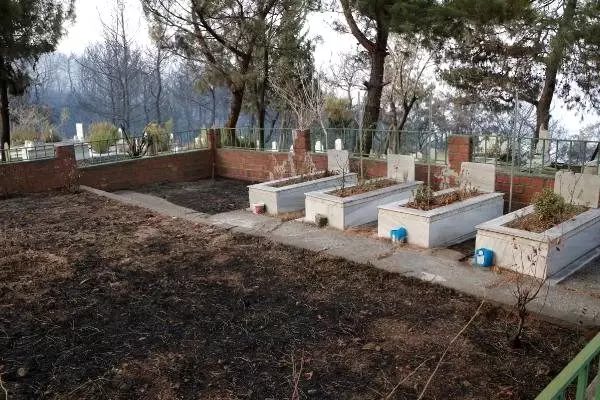 Söndürme çalışmalarının sürdüğü İskenderun'da Azganlık Şehitliği, yangından etkilenmedi Söndürme çalışmalarının sürdüğü İskenderun'da Azganlık Şehitliği, yangından etkilenmedi