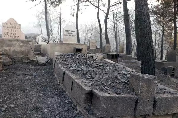 Söndürme çalışmalarının sürdüğü İskenderun'da Azganlık Şehitliği, yangından etkilenmedi Söndürme çalışmalarının sürdüğü İskenderun'da Azganlık Şehitliği, yangından etkilenmedi