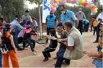 Suriyeli yetim çocuklar barış ve kardeşlik için zeytin topladı Suriyeli yetim çocuklar barış ve kardeşlik için zeytin topladı