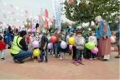 Suriyeli yetim çocuklar barış ve kardeşlik için zeytin topladı Suriyeli yetim çocuklar barış ve kardeşlik için zeytin topladı