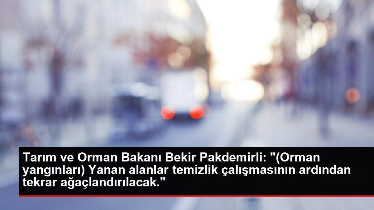 Tarım ve Orman Bakanı Bekir Pakdemirli: '(Orman yangınları) Yanan alanlar temizlik çalışmasının ardından tekrar ağaçlandırılacak.'